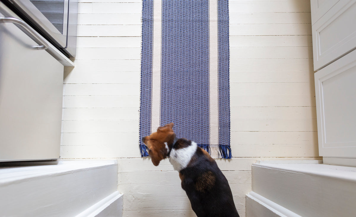 Blue and White Stripe Rug Clove & Creek