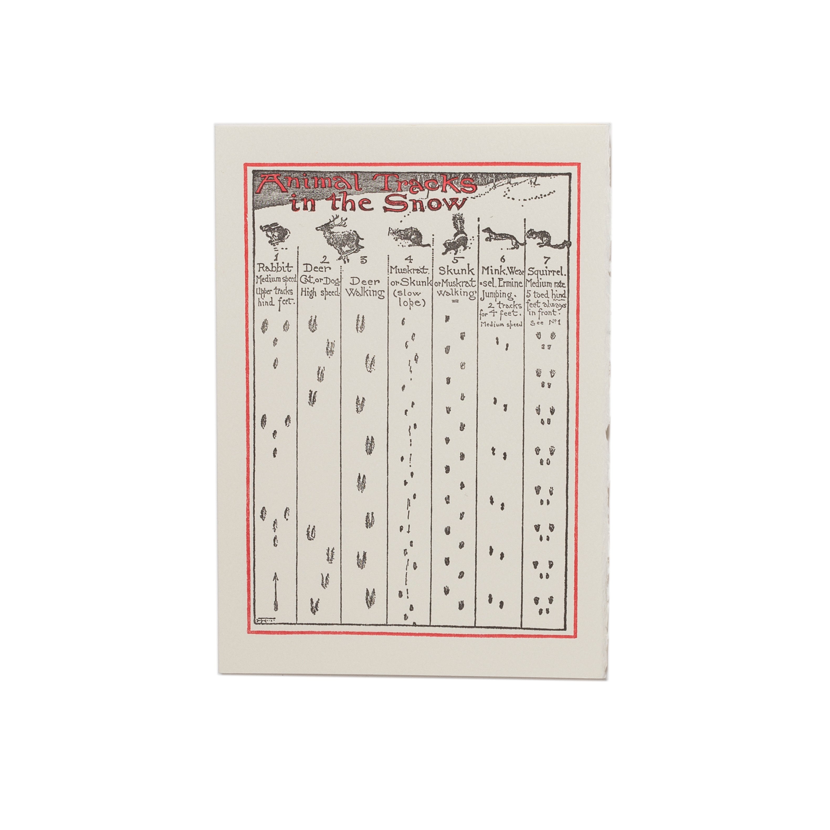 Animal Track Greeting Card