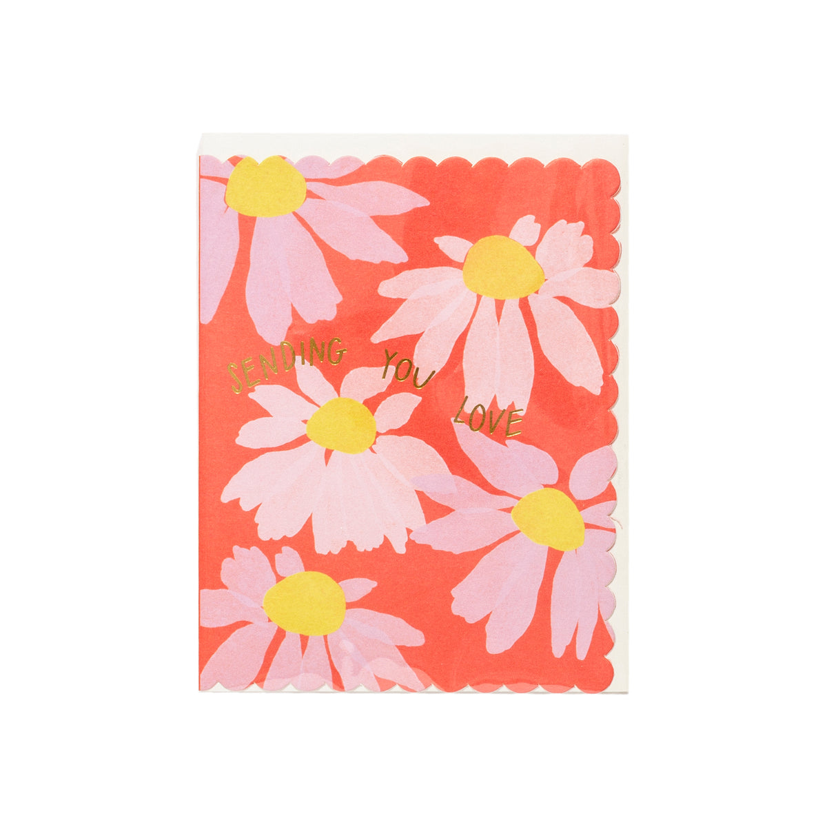 Scalloped Coneflower Sympathy Greeting Card