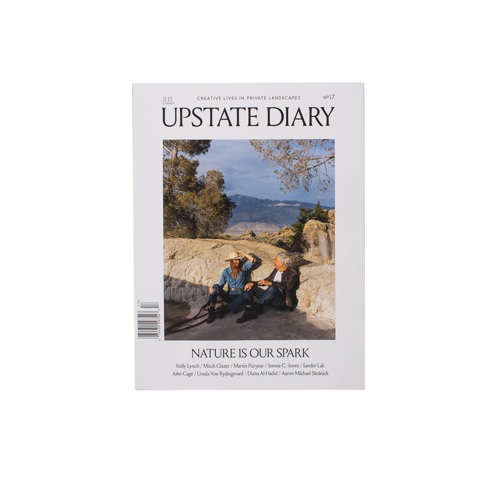Upstate Diary No 17