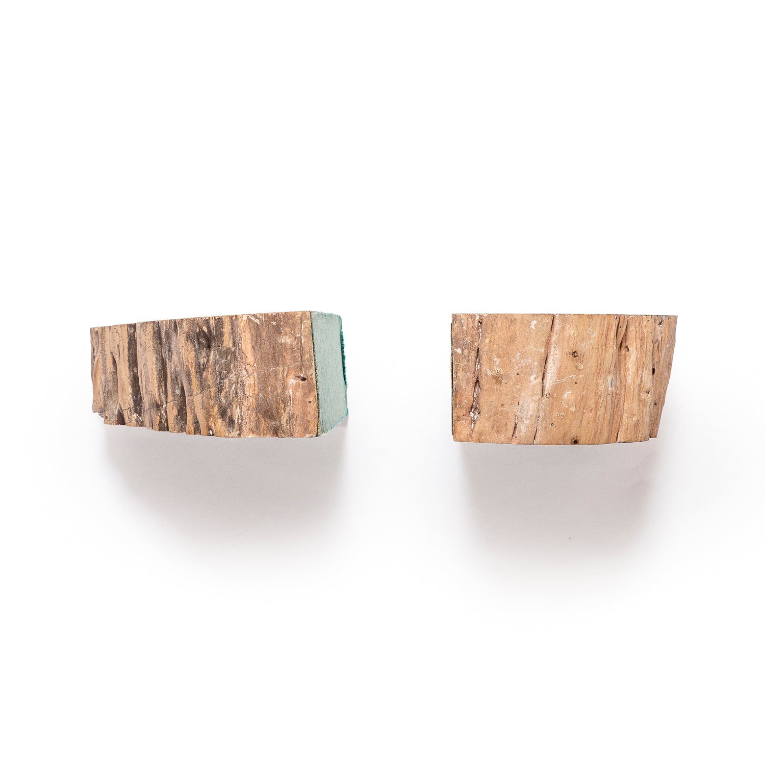 Winslow Petrified Wood Bookends