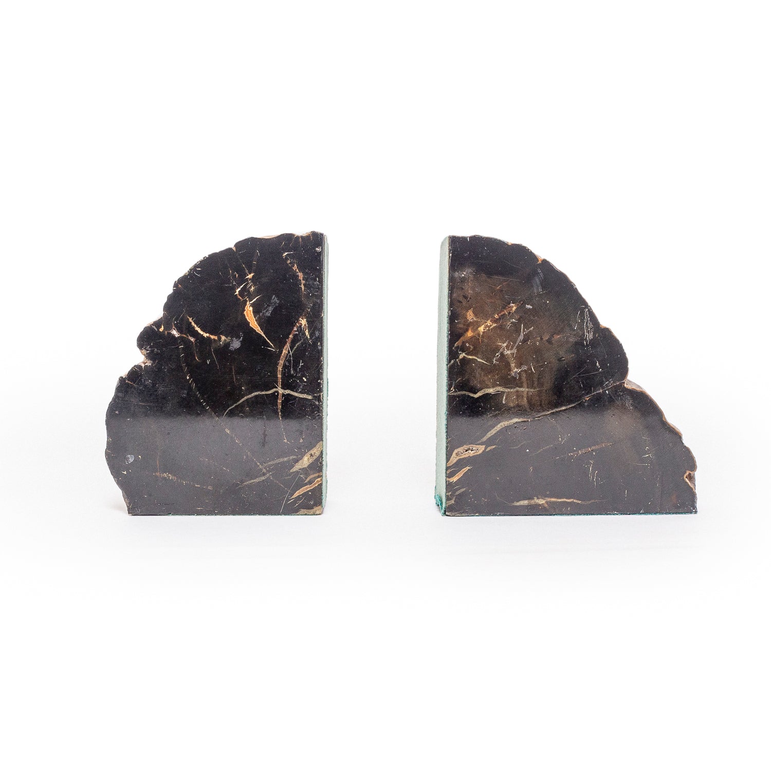 Winslow Petrified Wood Bookends