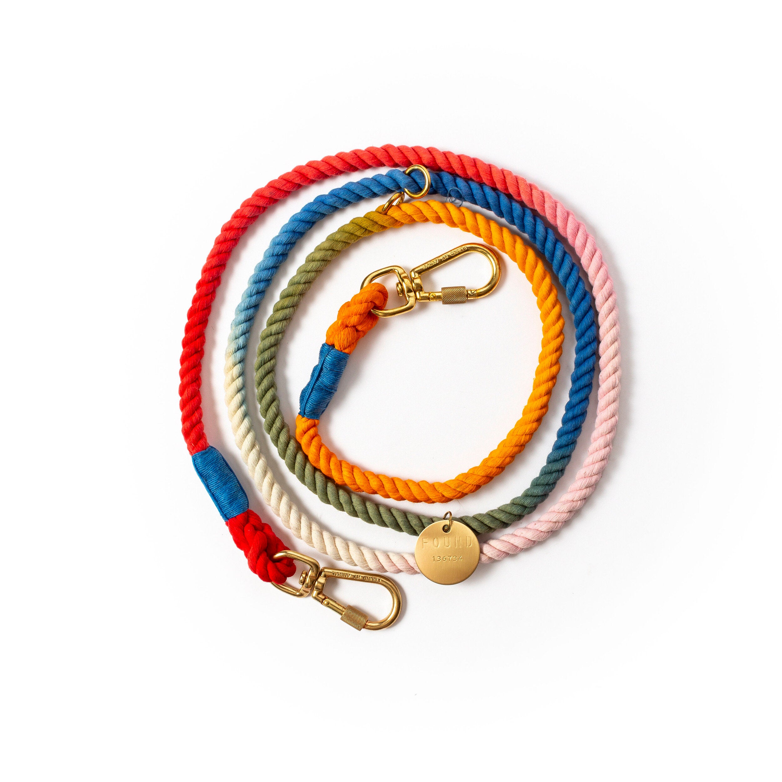 Found Dog Leash in Rainbow Ombre