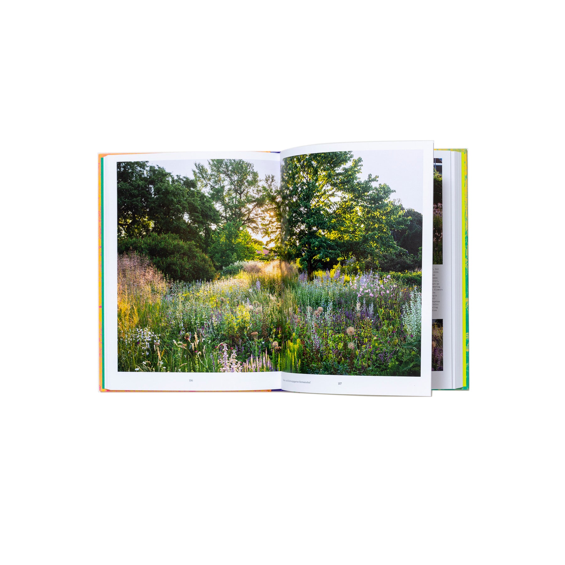 Wild The Naturalistic Garden