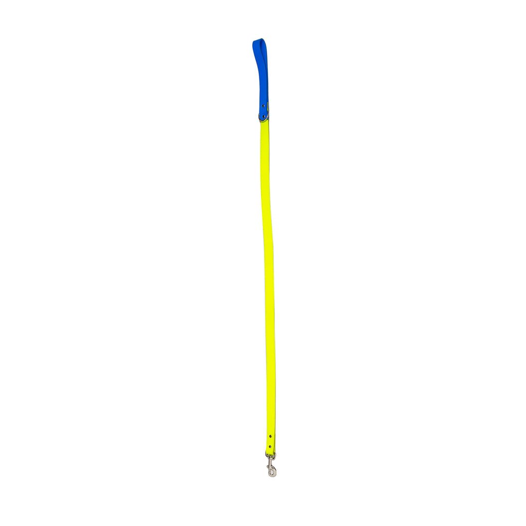 Large Blue and Yellow Leash