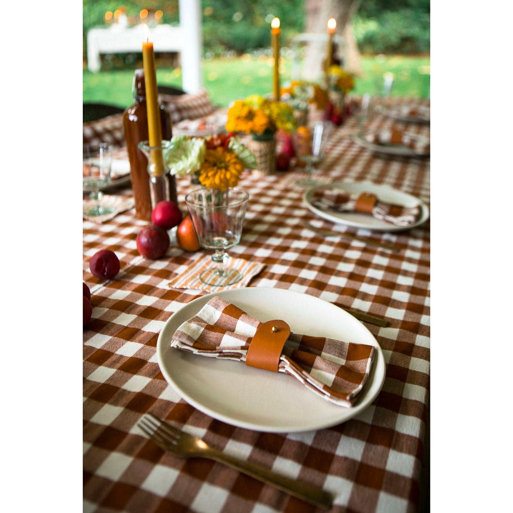 Heather Taylor Home Nutmeg Gingham Napkin Set - Thumbnail 5